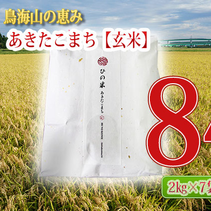 《定期便》14kg×6ヶ月 秋田県産 あきたこまち 玄米 2kg×7袋 神宿る里の米「ひの米」（お米 小分け）