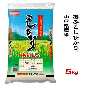 山口県産米 ／ あぶ こしひかり 5kg ／お米：農協直販