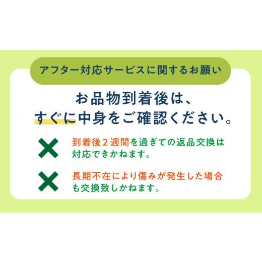 ふるさと納税 長崎県 小値賀町 ＜先行予約＞  タカミメロン  約5kg（3〜5玉） フルーツ 果物 国産 小値賀町／な…