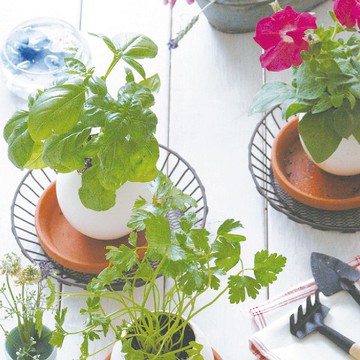 福利品特賣 紙盒精裝版eggling 植物栽培蛋 花系列 附陶盆 Pinkoi 設計購物網站 Line購物