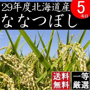 米 5キロ 送料無料 安い ななつぼし 北海道産 お米  5kg 安い 白米 北海道米 検査一等米