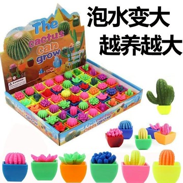 泡水膨脹仙人掌玩具 造型多樣趣味玩具 創意療癒裝飾擺件