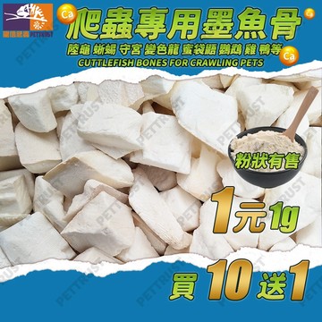 台灣現貨】墨魚骨 墨魚骨塊 墨魚骨鸚鵡 墨魚骨陸龜 澤龜 墨魚骨串 墨魚骨鳥玩具 補鈣 爬蟲補鈣 爬蟲鈣粉 爬蟲鈣粉d3