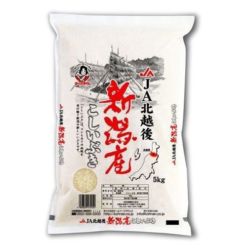 令和4年産 新潟県産こしいぶき 国産 5kg  おくさま印 米