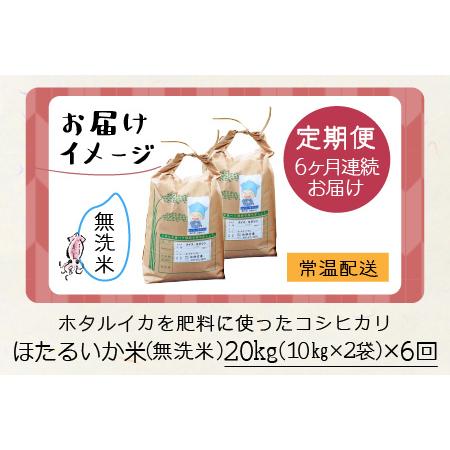 ふるさと納税 ほたるいか米（無洗米20kg）×6回 計120kg 富山県滑川市