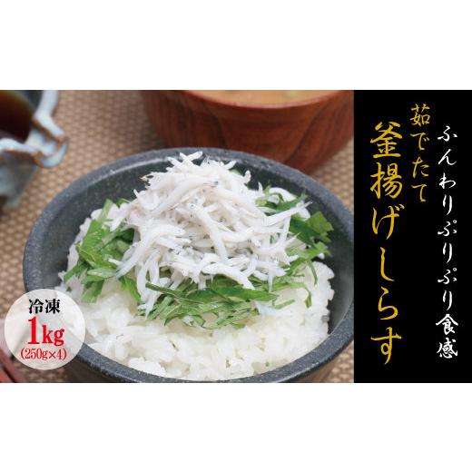 ふるさと納税 和歌山県 串本町 茹でたて釜揚げしらす　1kg(250g×4パック) 無添加・無着色 しらす シラス 釜揚げ 小分け 冷凍