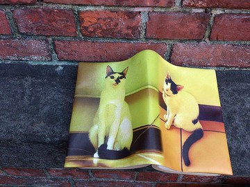 <超級名模們> A5書衣