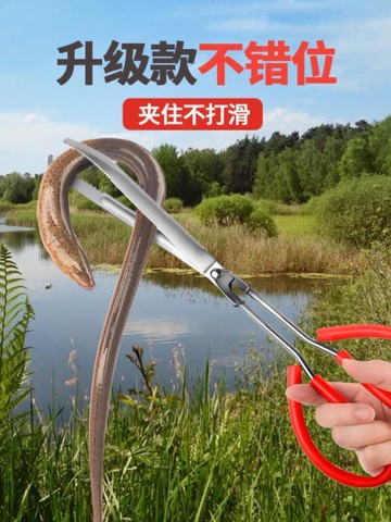 黃鱔夾泥鰍鉗子蟹鉗捉工具垃圾加固用品脫大全龍蝦鱔魚竹子的捕魚