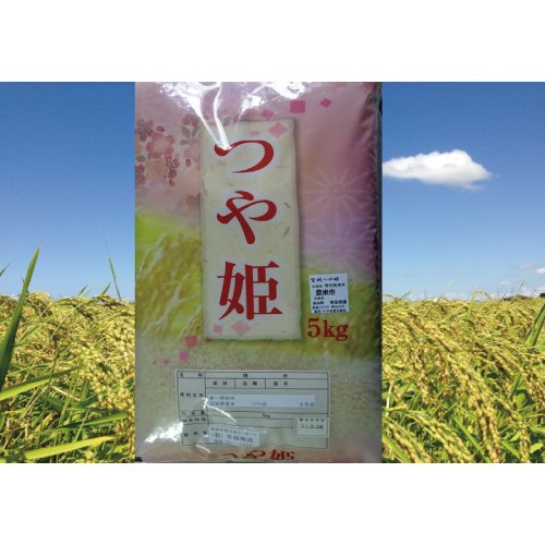 新米　つや姫　５Kg　宮城県登米市産 2023年産