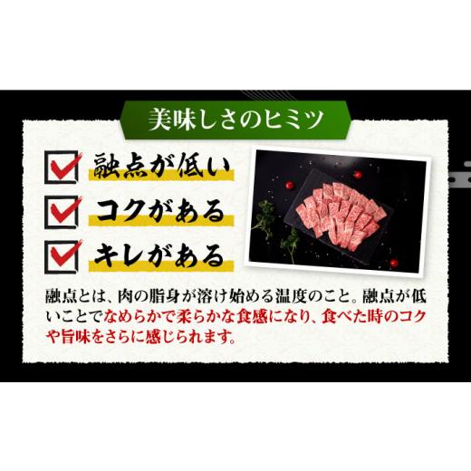 ふるさと納税 長崎県 壱岐市  壱岐牛 焼肉用 バラ（カルビ）500g《壱岐市》 肉 牛肉 焼肉 バラ カルビ BBQ [JFE022] 8400…