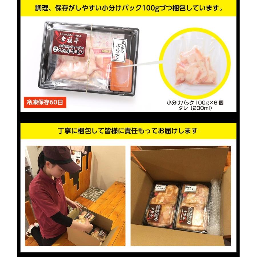 お歳暮 2023 ギフト 御歳暮 のし ホルモン 焼肉 ホルモン焼き お取り寄せグルメ ギフト BBQ  肉 牛肉 牛ホルモン  国産大トロ ホルモン 600g  味噌味