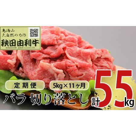 ふるさと納税 《定期便》11ヶ月連続 秋田由利牛 バラ切り落とし 5kg（1kg×5パック） 秋田県にかほ市