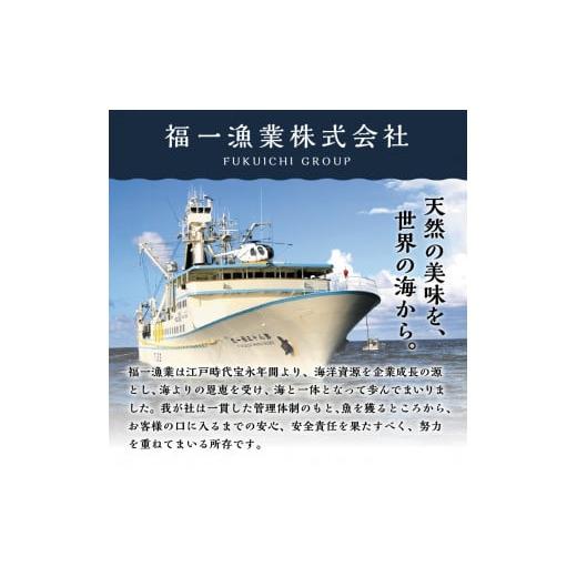 ふるさと納税 静岡県 焼津市 b10-070　天然本まぐろ詰め合わせ 4回隔月でお届け