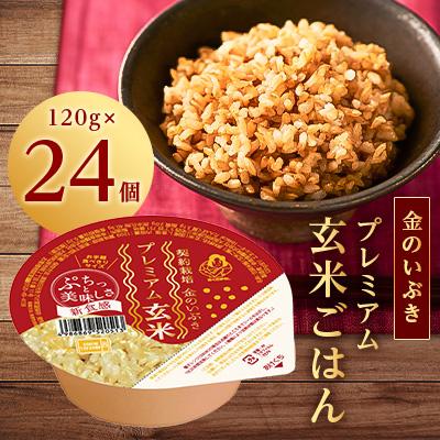 ふるさと納税 松原市 金のいぶきプレミアム玄米ごはん120g×24個