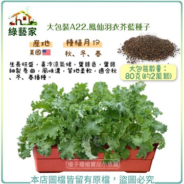 【綠藝家】大包裝A22.鳳仙羽衣芥藍種子80克(約2萬顆)