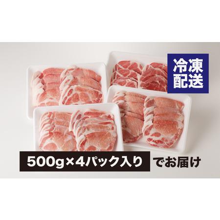 ふるさと納税 宮崎県産 豚肩ロース２kg（500ｇ×4P）ガツンとBBQ K16_0077_1 宮崎県木城町