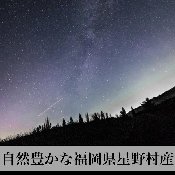 干ししいたけ 70g（35g×2袋） 原木乾しいたけ 福岡県星野村産 メール便