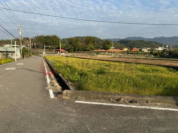 苑裡鎮安十一路旁農地｜苗栗縣苑裡鎮南山段