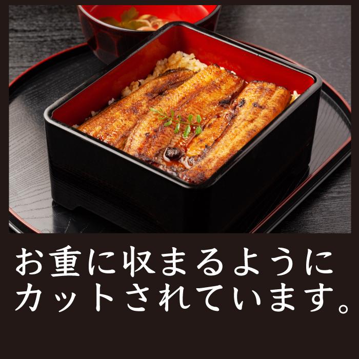 国産 手焼き うなぎ蒲焼き 100g × 2パック 送料無料  ウナギ 鰻 うなぎ 蒲焼き 国産うなぎ 国産ウナギ 国産鰻 鰻蒲焼 グルメ お惣菜