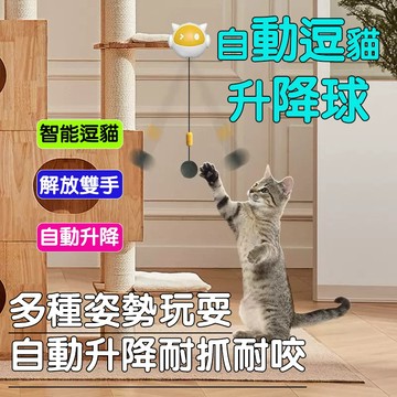貓咪玩具 自動逗貓升降球 貓咪玩具球 升降電動玩具球 自動逗貓玩具 貓咪玩具 寵物用品 電動逗貓棒