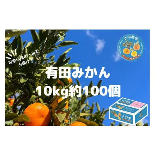 ふるさと納税 和歌山県 有田川町 本場有田みかん じぃじのみかん10kg