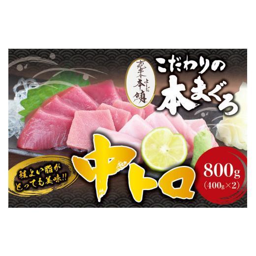 ふるさと納税 和歌山県 串本町 本マグロ 中とろ 800g（400g×2）サク 「プレミア和歌山認定」  和歌山県でも指折りの好漁場で養殖された本鮪です！  南紀串本…