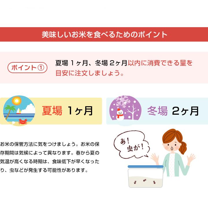 4年産　佐賀県ご飯ソムリエ厳選！佐賀米 5kg 佐賀県産