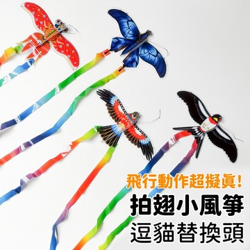【喵星】逗貓棒替換頭｜拍翅小風箏 仿真拍翅! 小鳥 飛鳥 逗貓棒 貓咪玩具 逗貓 喵星實驗室