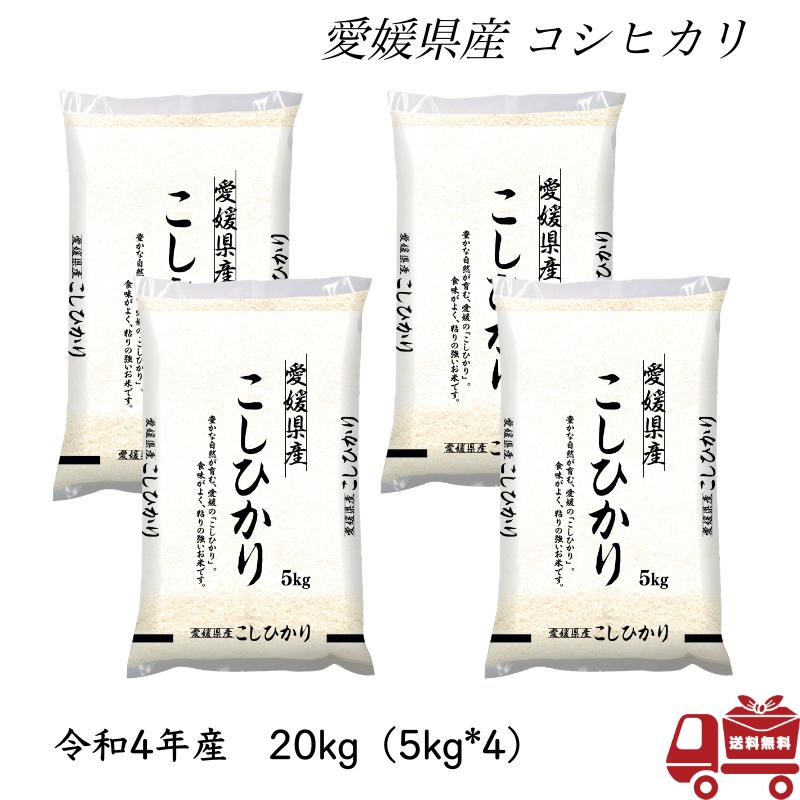 こしひかり 20kg 5kg×4 令和4年産 愛媛県産 米 お米 白米 おこめ 精米 単一原料米 ブランド米 5キロ   国内産 国産