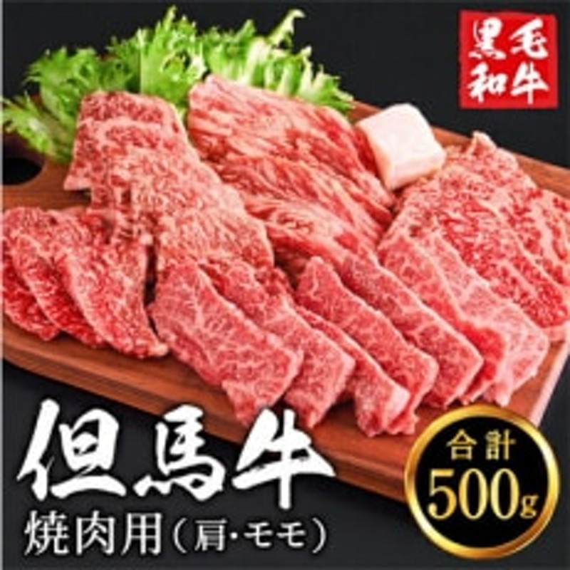 LINEショッピング　いちかわ精肉店「焼肉用(肩・モモ)500g　010AA05N