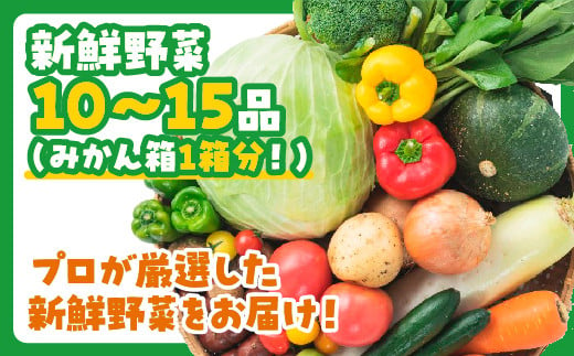 D-186 ぶちうま！山口の新鮮お野菜BOX