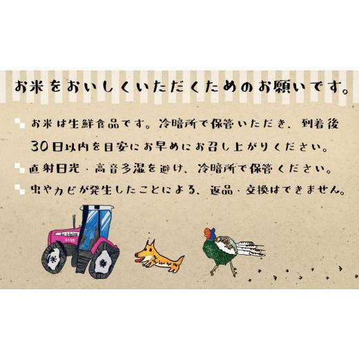 ふるさと納税 長野県 松本市 米 コシヒカリ 風さやか 食べ比べ 10kg 5kg × 2袋 長野県産