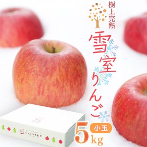 雪室りんご ５kg「生産者こだわりの樹上完熟 ふじりんご」小玉サイズ 2023年産 令和5年産  020-B-NG002