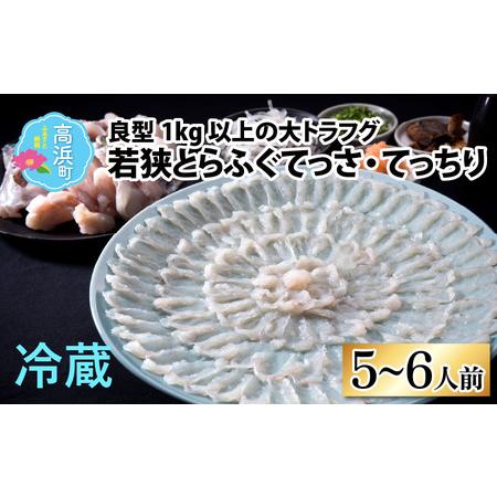 ふるさと納税 若狭とらふぐてっさ・てっちりセット（5〜6人前） 福井県高浜町