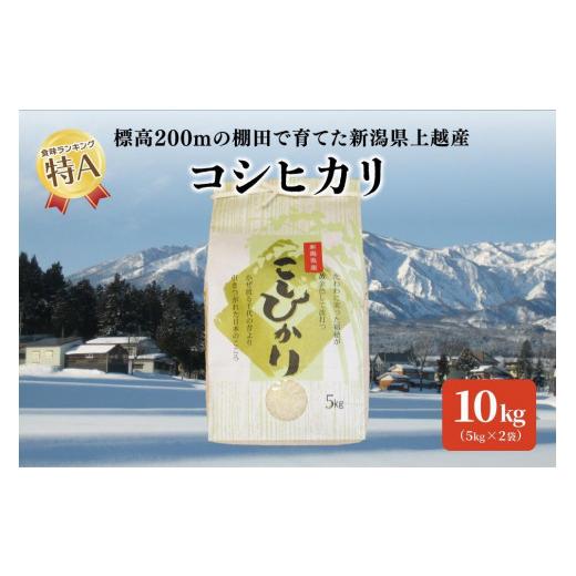 ふるさと納税 新潟県 上越市 標高200ｍで育てた棚田米｜令和5年産・新潟県上越産・従来種コシヒカリ精米10kg（5kg×2袋）