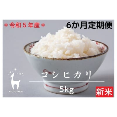 〈6か月定期便〉令和5年産 京都ファームのコシヒカリ 5kg