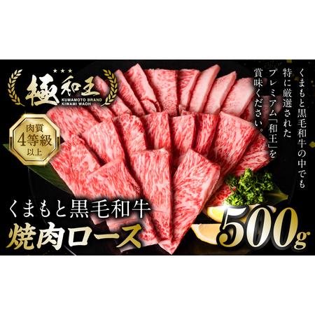 ふるさと納税 極和王シリーズ くまもと黒毛和牛 焼肉ロース 500g 熊本県産 牛肉 熊本県八代市