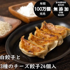 年間100万個完売!餃子の餃天の