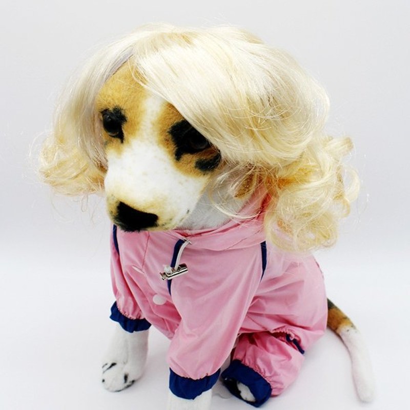 ペット用 犬猫兼用 ウィッグ かつら カツラ Wig 金髪カール コスチューム コスプレグッズ 変身 仮装 衣装 変装 ユニーク 面白い おもしろい 通販 Lineポイント最大0 5 Get Lineショッピング