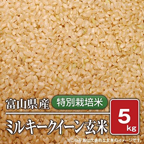 富山県産 特別栽培米 ミルキークイーン（令和5年）5kg