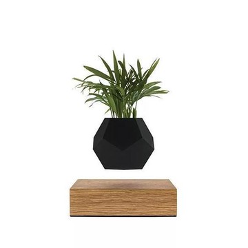 Flyte Lyfe 黑色 Skin