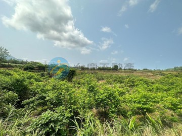 Q046淡水景觀平坦美地｜新北市淡水區中和段