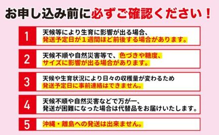 No.2419菅野房吉商店　ふくしまのサンふじりんご　5kg