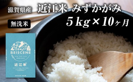 令和5年産新米　滋賀県豊郷町産　近江米 みずかがみ　無洗米　5kg×10ヶ月