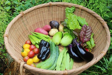 新鮮お野菜ボックス（京都・京丹波町産）≪栽培期間中農薬不使用の安心安全こだわり野菜≫[010SN001]