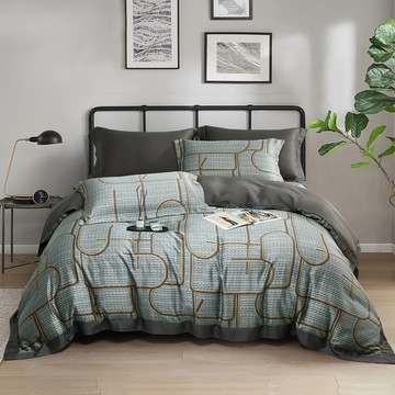 凡芮思 60s 奧地利天絲雙色翅膀款  西弗斯  床包188 x 180cm + 枕套 75 x 47cm 2件  床墊套 + 枕套組