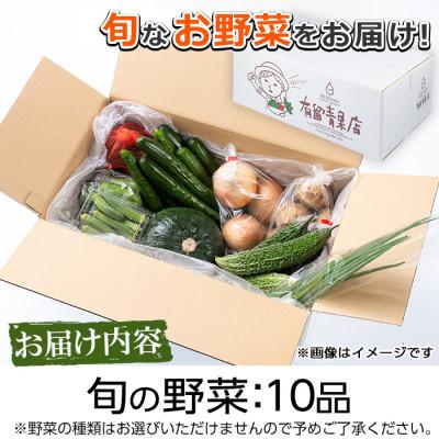 ふるさと納税 東串良町 自慢の農家×老舗青果店　新鮮野菜おまかせセット