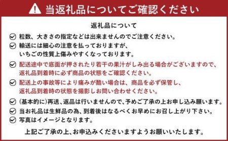 あまおう大好き定期便 合計約3.8kg あまおう あまおうジェラート あまおうレアチーズケーキ フルーツ 果物