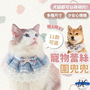 【DC寵物有發票】🐾寵物裝飾領結 寵物項圈 狗狗項圈 貓咪項圈 狗項圈 貓項圈 小型犬項圈 項圈 狗頸圈 貓頸圈A194