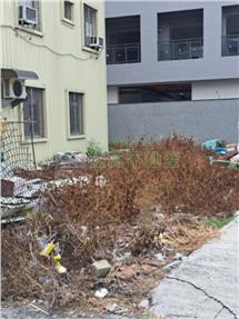 大灣國小大面寬好建地｜台南市永康區東南段